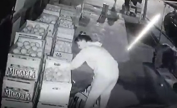 Imagen de la nota: Dos mujeres robaron una verdulería y quedaron “escrachadas”