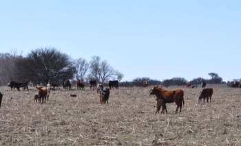 Imagen de la nota: La Provincia sigue complicada por las sequías