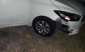 Imagen de la nota: Ruta 226: un auto atropelló a un carpincho