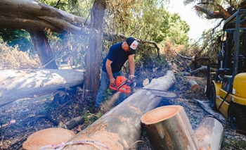 Imagen de la nota: El Municipio sigue trabajando en la limpieza de espacios públicos tras el temporal