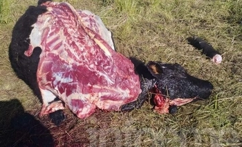 Imagen de la nota: El Ejecutivo recibió a carniceros locales para tratar la faena clandestina