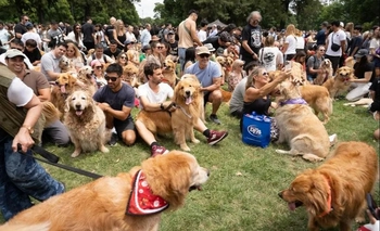 Imagen de la nota: Más de 2.000 golden retrievers invadieron los Bosques de Palermo