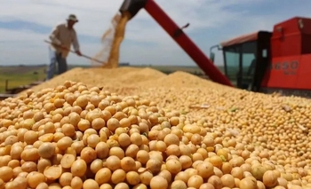 Imagen de la nota: El Gobierno anunció una nueva baja de retenciones para los agroexportadores