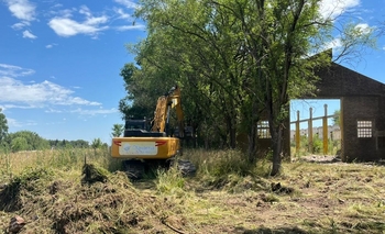 Imagen de la nota: Desplegaron tareas de limpieza en Villa Aurora y en un predio fabril abandonado