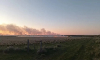 Imagen de la nota: Alerta en el sudoeste bonaerense: hay alto riesgo de incendios por la ola de calor
