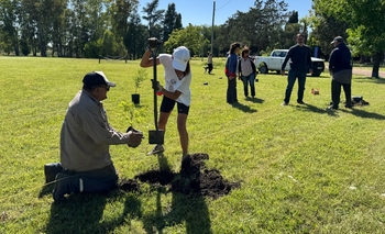 Imagen de la nota: Colocaron 20 plantas nativas del Vivero Municipal en el predio del Parque 