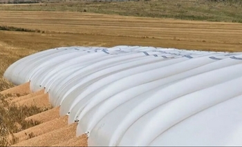 Imagen de la nota: Piden penas de hasta cinco años de cárcel para quienes ataquen silobolsas